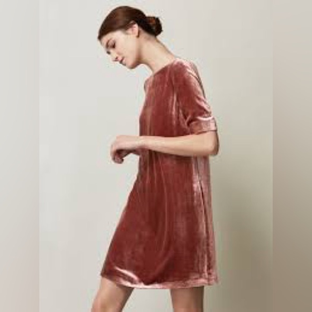 Toast mauve velvet shift dress